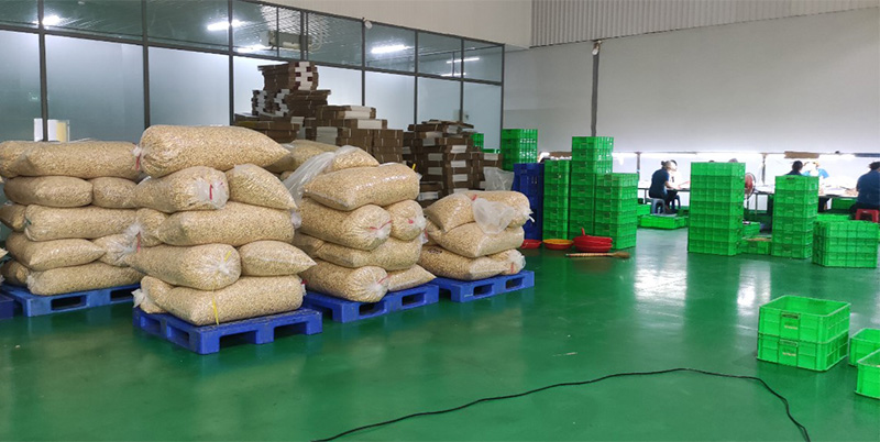Nhà xưởng chế biến hạt điều tại Bình Phước
